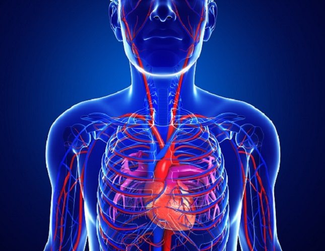 Las personas con insuficiencia valvular aórtica pueden experimentar síntomas de latido cardíaco acelerado