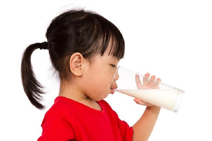 Las leches vegetales son las mejores como alternativas a las leche de carácter animal