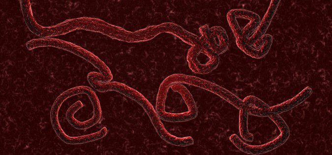 El Ébola se contagia mediante el contacto con fluidos corporales