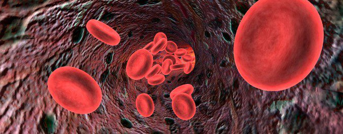 La hemoglobina es uno de los principales componentes de los glóbulos rojos
