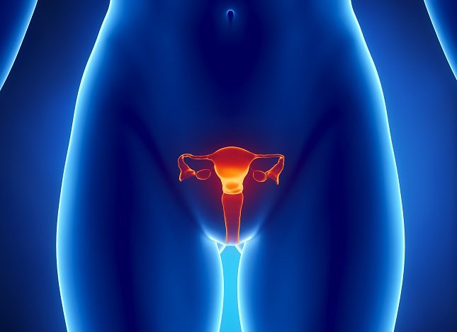 Los pólipos endometriales, también conocidos como pólipos uterinos, son grandes desconocidos