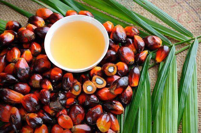 El aceite de palma se produce mayoritariamente en las zonas salvajes del Sureste asiático