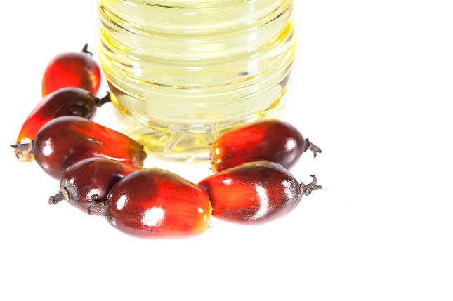 El aceite de palma proviene de la planta africana llamada Elaeis guineensis
