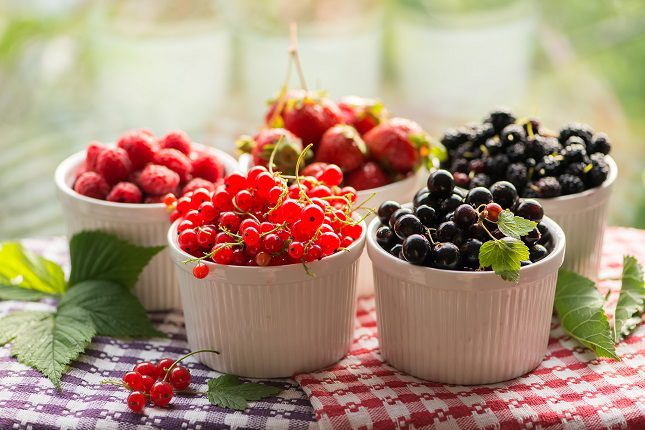 Los frutos rojos se componen, por lo tanto, de unas propiedades que mejoran nuestra salud si los tomamos de manera diaria y variada