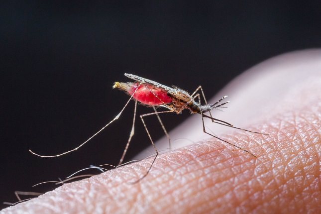 La malaria puede ser mortal y por eso el tratamiento debe hacerse en el hospital