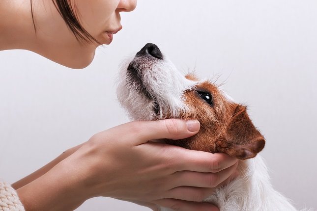 Los virus fueron detectados en perros que asistieron a clínicas veterinarias debido a problemas respiratorios