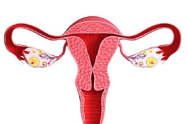 En mujeres que tienen dos úteros completamente desarrollados, el embarazo puede ser completamente normal