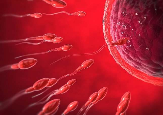 Un cambio en el estilo de vida puede hacer que la calidad del esperma mejore
