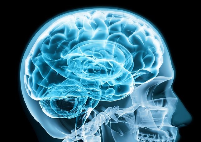 La neuroplasticidad se refiere a la capacidad de tu cerebro para reorganizar las vías neurales