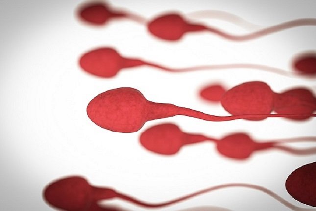 Los espermatozoides son necesarios para crear vida