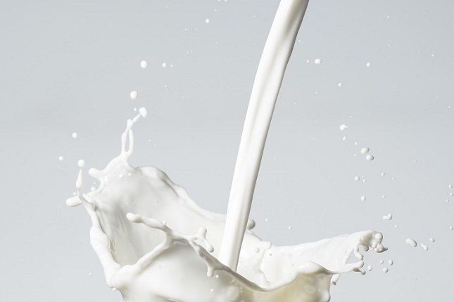 Se cree que para mantener la figura y bajar de peso lo mejor es optar por los lácteos desnatados