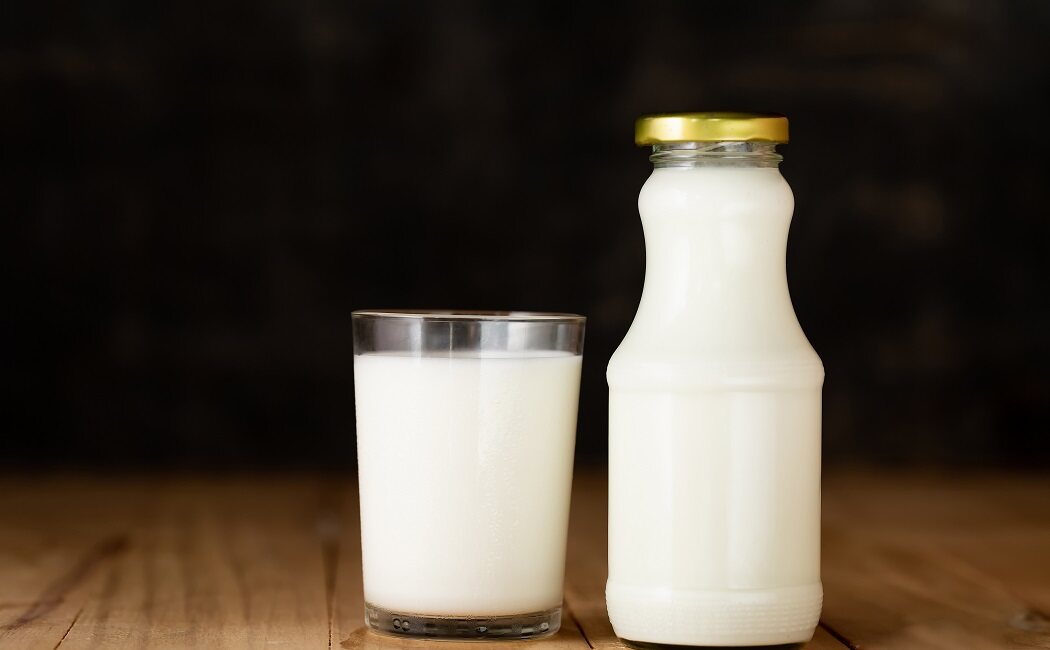 ¿Es importante la leche en la dieta diaria?