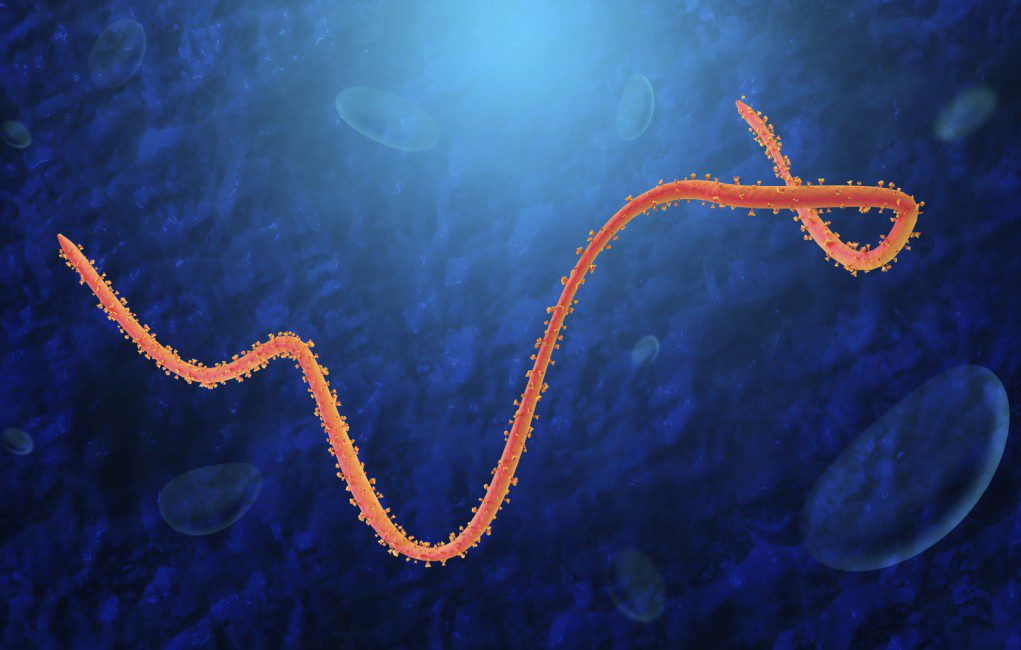 Cómo se transmite y se contagia el Ébola