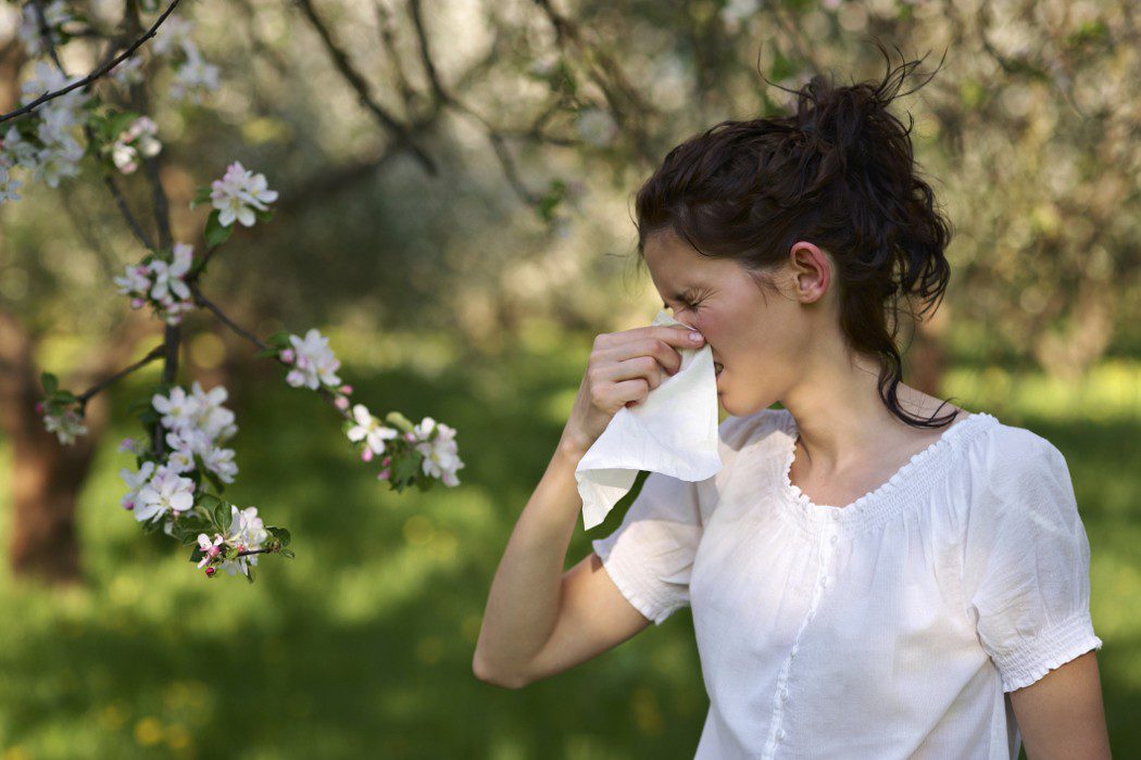 Maneras de evitar los síntomas de la alergia en primavera