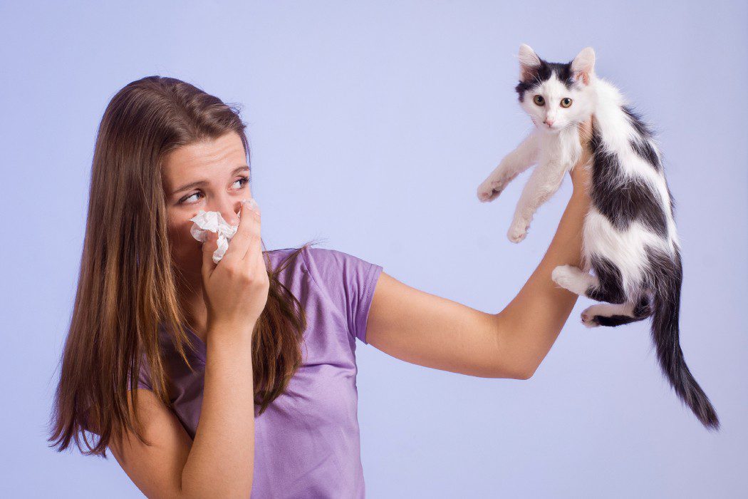 Alergia a las mascotas, ¿qué podemos hacer?