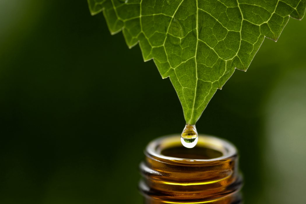¿Qué es la homeopatía?