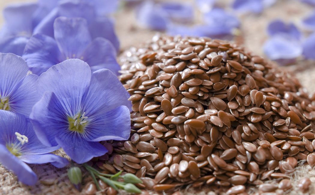 Qué beneficios tienen las semillas de lino para la salud