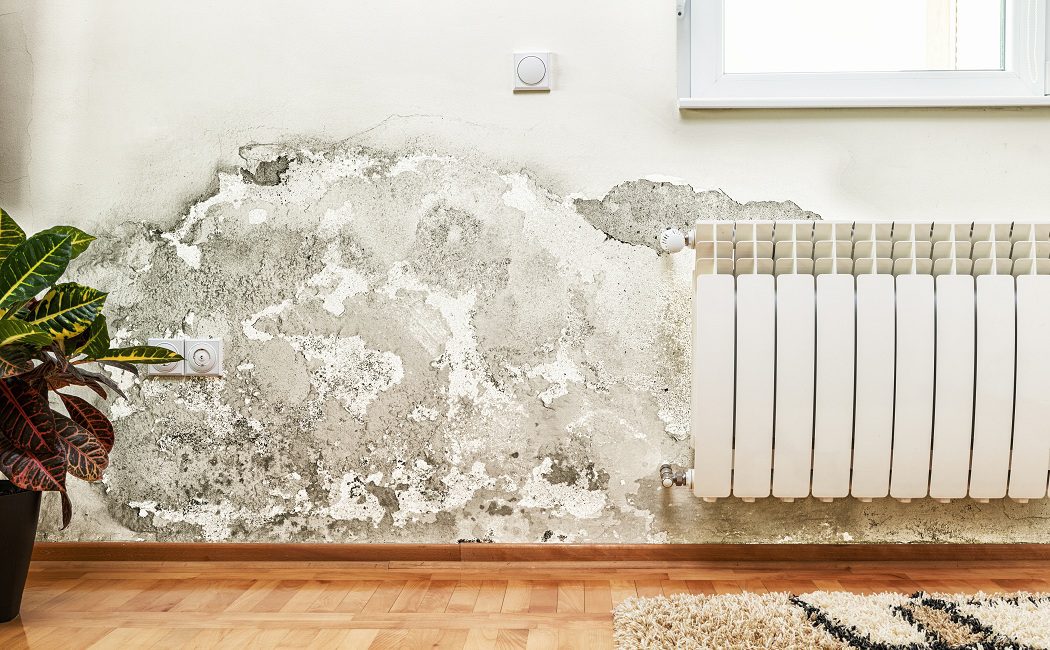 Cómo afectan las humedades de las paredes a tu salud