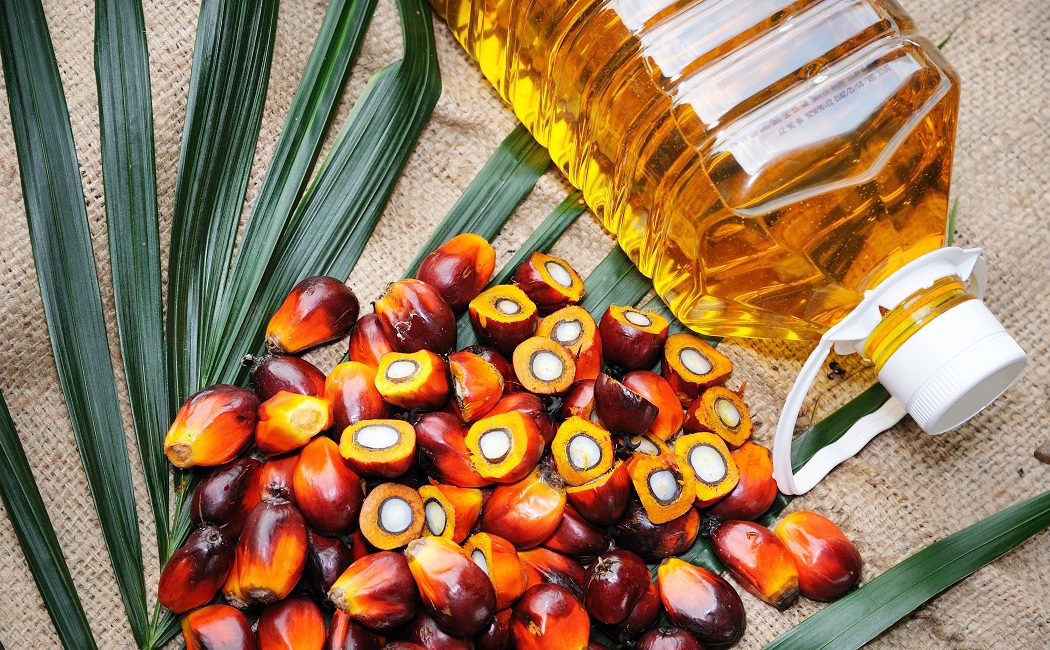 Todo lo que debes saber sobre el aceite de palma