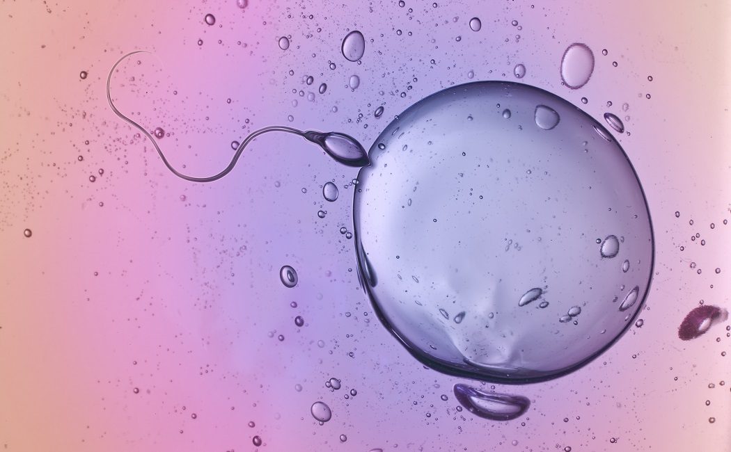 Cómo saber el momento en el que estás ovulando