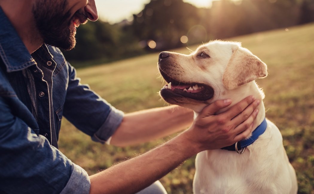 Tener mascotas beneficia tu salud mental