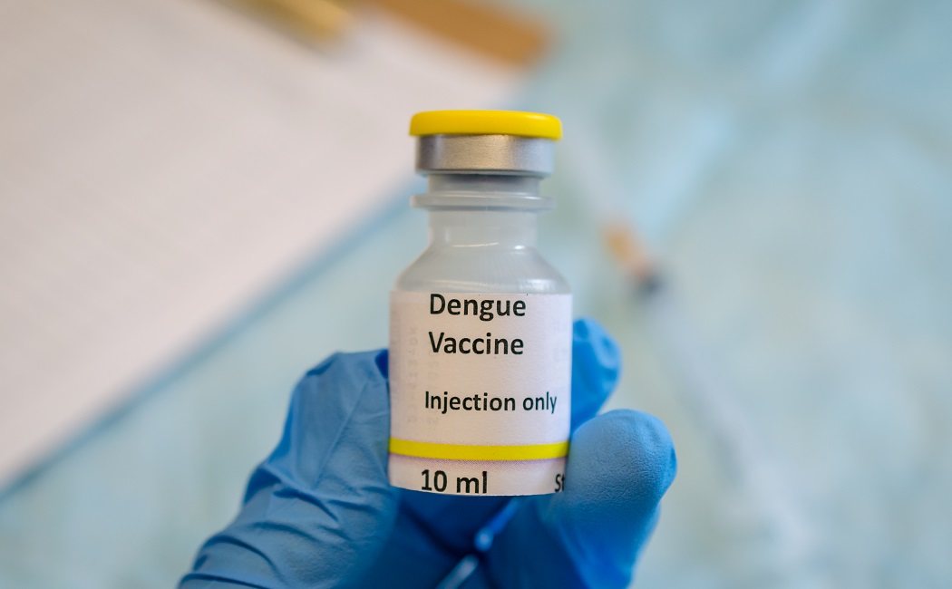 Qué es el dengue y cuál es el tratamiento