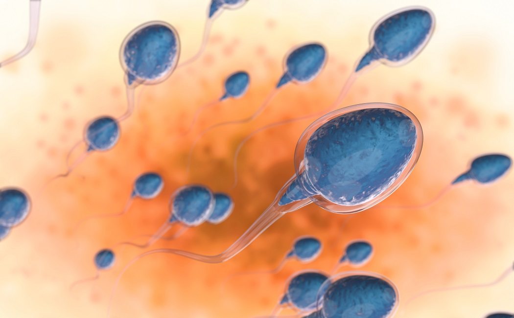 Ácido fólico en la fertilidad masculina
