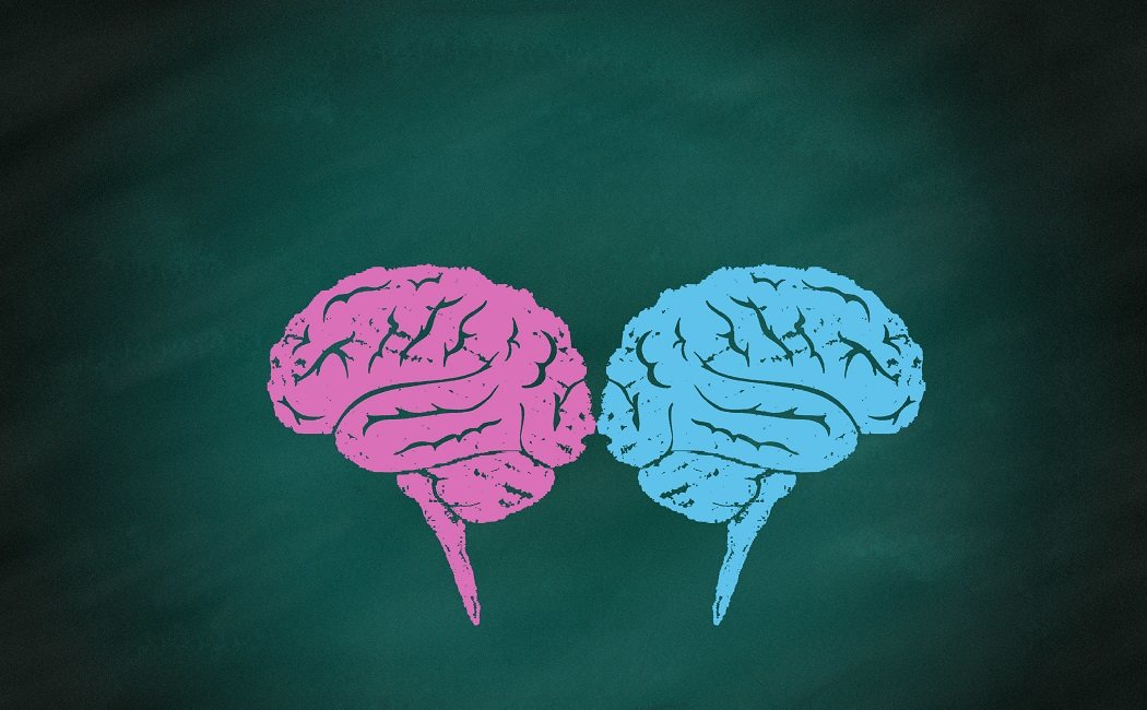 Ejercicios para los dos hemisferios del cerebro... ¡al mismo tiempo!