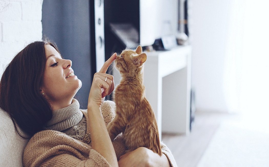 Relación entre la alergia a los gatos, la urticaria y el asma