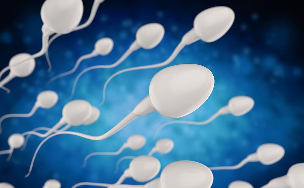 Cómo se produce el esperma