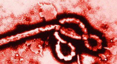 Qué es el Ébola
