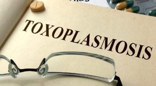 ¿Qué es la toxoplasmosis?