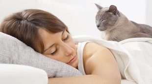 Por qué la siesta es saludable para ti