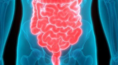 Cuáles son las diferencias entre el intestino grueso y el intestino delgado