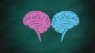 ¿Realmente existen diferencias cerebrales entre hombres y mujeres?