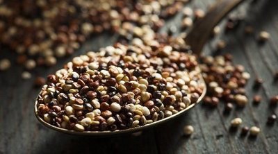 Beneficios de la quinoa para tu salud