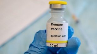 Qué es el dengue y cuál es el tratamiento