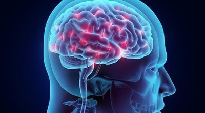 Cerebro triuno: tres cerebros en uno