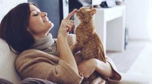 Síntomas comunes de alergia a los gatos