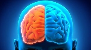 Cómo mejorar tu salud del hemisferio cerebral derecho