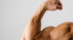 ¿Cómo afectan las hormonas al crecimiento de los músculos?