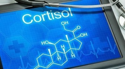 Alimentos que afectan a tus niveles de cortisol