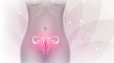 ¿Cuáles son las funciones principales del sistema reproductor femenino?